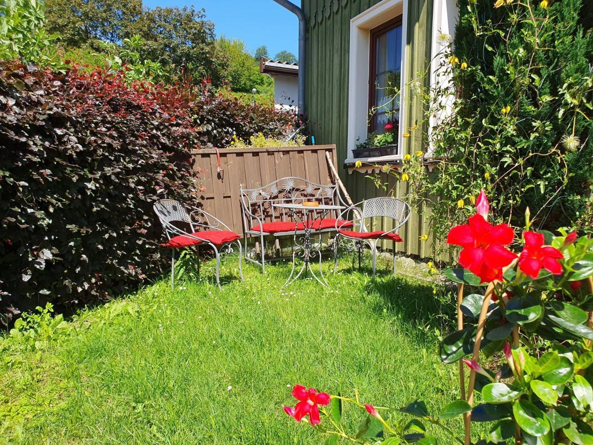 Apartament Gruene Haus Am Hexenstieg *
