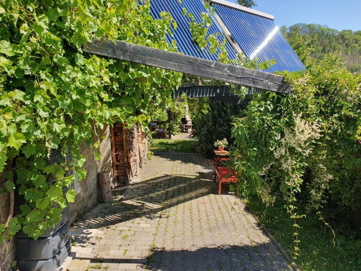 Apartment Gruene Haus Am Hexenstieg