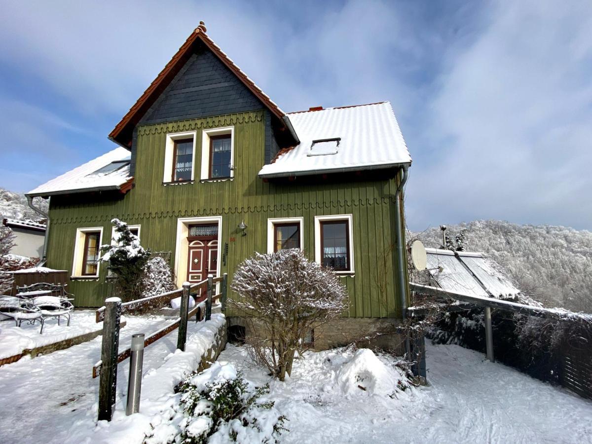 Apartment Gruene Haus Am Hexenstieg