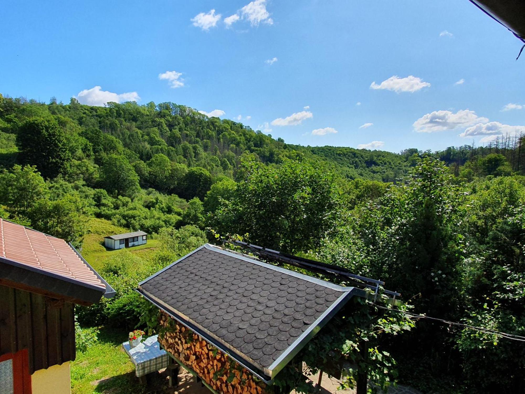 Gruene Haus Am Hexenstieg *
